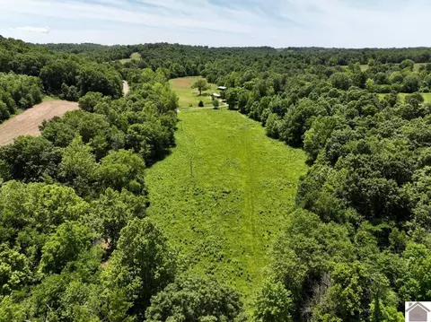 000 Cotton Patch Rd, Marion, KY 42064 photo 29