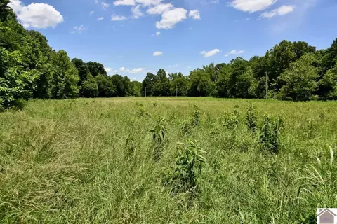 000 Cotton Patch Rd, Marion, KY 42064 photo 32