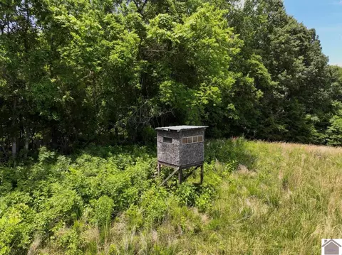 000 Cotton Patch Rd, Marion, KY 42064 photo 18