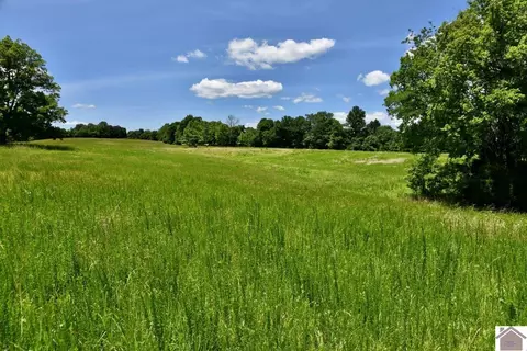 000 Cotton Patch Rd, Marion, KY 42064 photo 6
