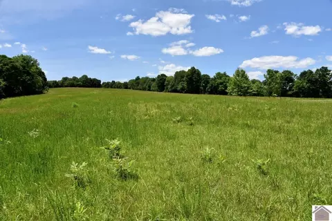 000 Cotton Patch Rd, Marion, KY 42064 photo 17