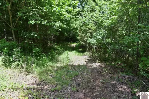 000 Cotton Patch Rd, Marion, KY 42064 photo 28