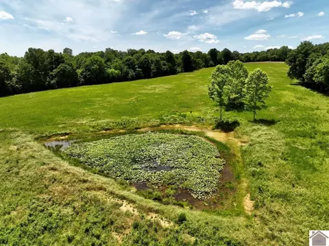 000 Cotton Patch Rd, Marion, KY 42064 photo 12