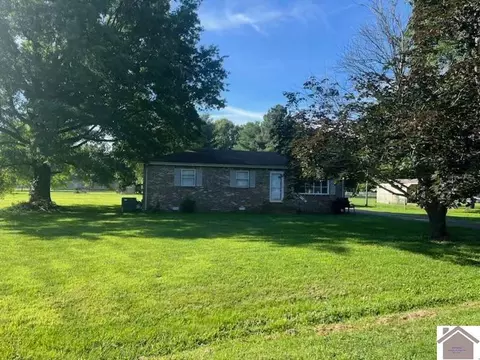 125 Peck Ct, Ledbetter, KY 42058