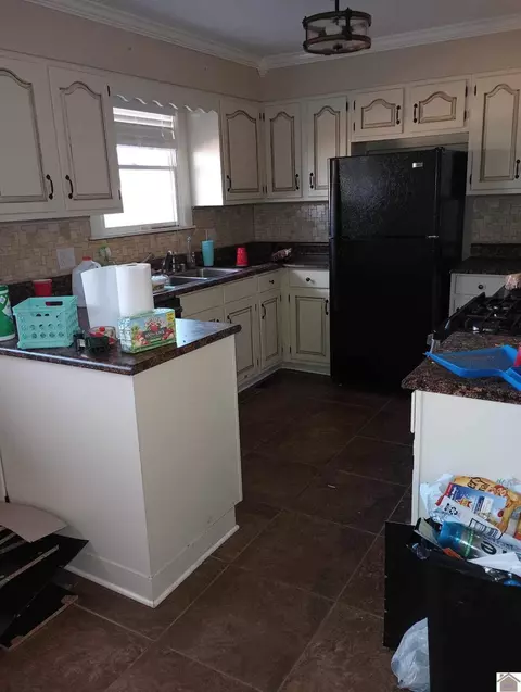 3569 State Route 58, Mayfield, KY 42066 photo 3