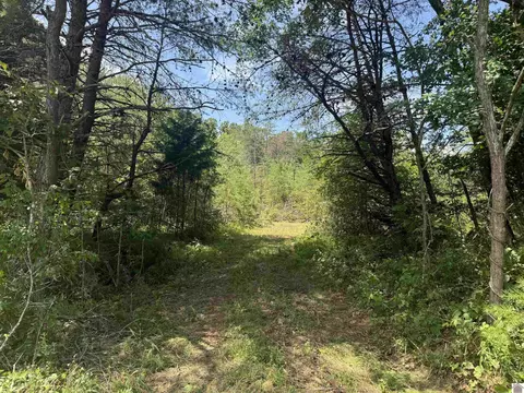 0 Douglas Rd, Murray, KY 42071