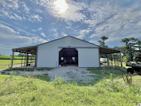 4947 State Route 3061, Wingo, KY 42088 photo 23