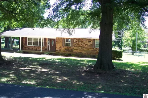 244 Blankenship Dr, Ledbetter, KY 42058