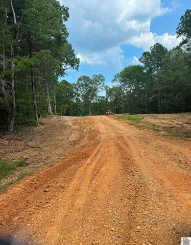 00 Burkeen Rd, Dexter, KY 42036
