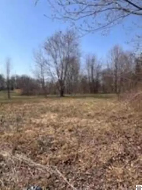 739 Armstrong Rd, Smithland, KY 42081