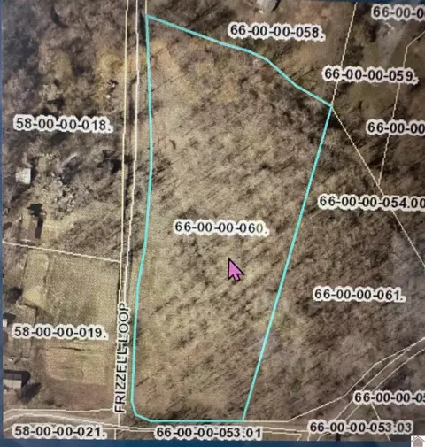 Frizzell Loop Road, Benton, KY 42025