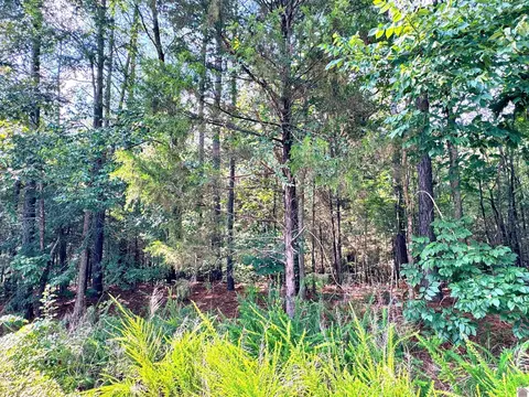 00 Oakview Lane 33 34 35, Murray, KY 42071 photo 5