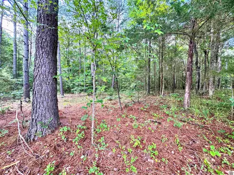 00 Oakview Lane 33 34 35, Murray, KY 42071 photo 11