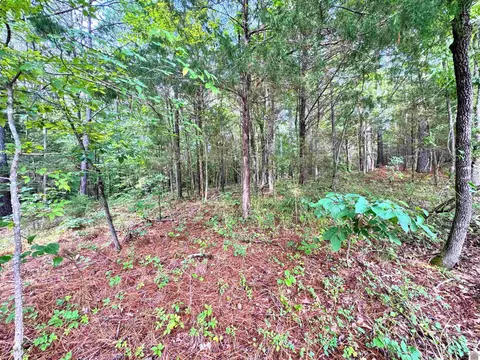 00 Oakview Lane 33 34 35, Murray, KY 42071 photo 9