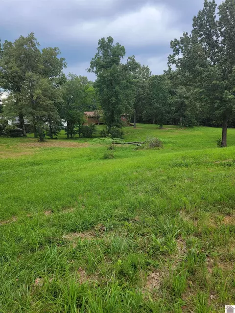000 Wyndy Brook Ln, Benton, KY 42025