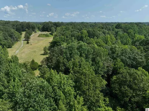 000 Chickasaw Bluff Rd, Benton, KY 42025