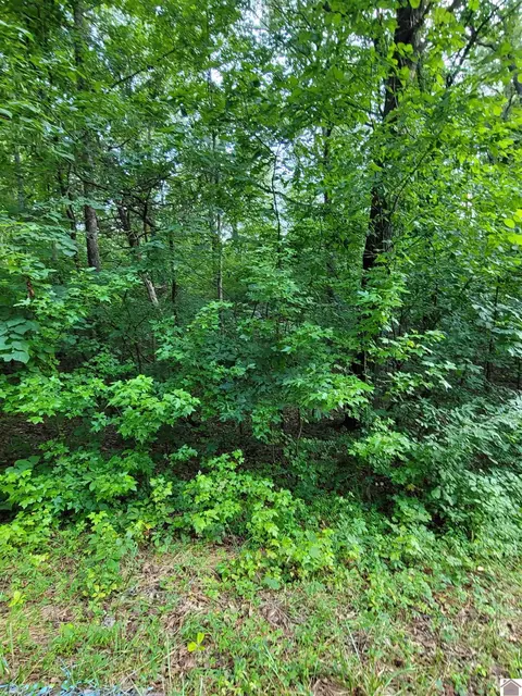 Windsong Circle, Murray, KY 42071 photo 3
