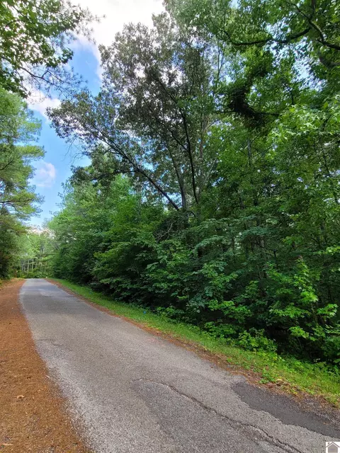 Windsong Circle, Murray, KY 42071 photo 15