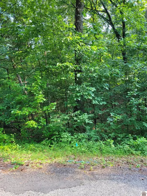 Windsong Circle, Murray, KY 42071 photo 9