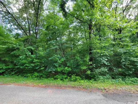 Windsong Circle, Murray, KY 42071 photo 8