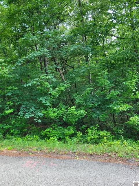 Windsong Circle, Murray, KY 42071 photo 7