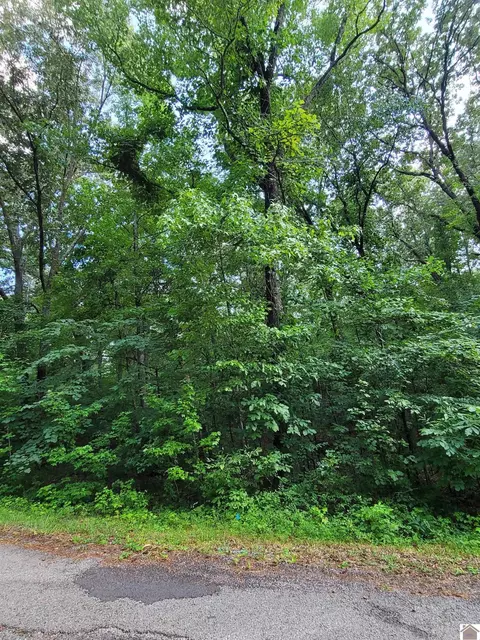 Windsong Circle, Murray, KY 42071 photo 2