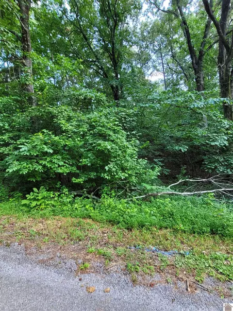 Windsong Circle, Murray, KY 42071 photo 12