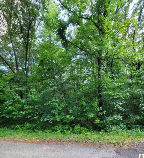 Windsong Circle, Murray, KY 42071 photo 6