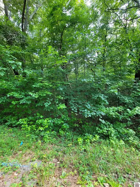 Windsong Circle, Murray, KY 42071 photo 10