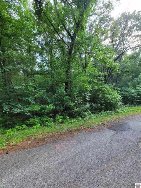Windsong Circle, Murray, KY 42071 photo 11