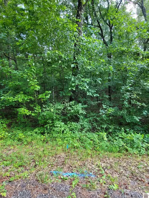 Windsong Circle, Murray, KY 42071 photo 5