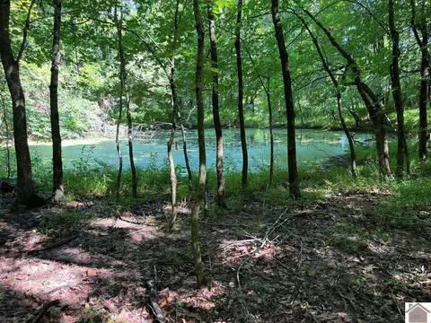 8325 John Rd, Robards, KY 42452