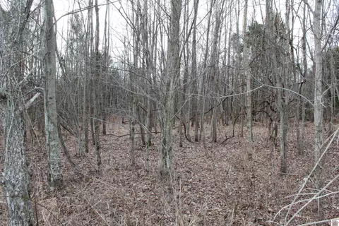 lot11 Kings Ridge Ct, Eddyville, KY 42038