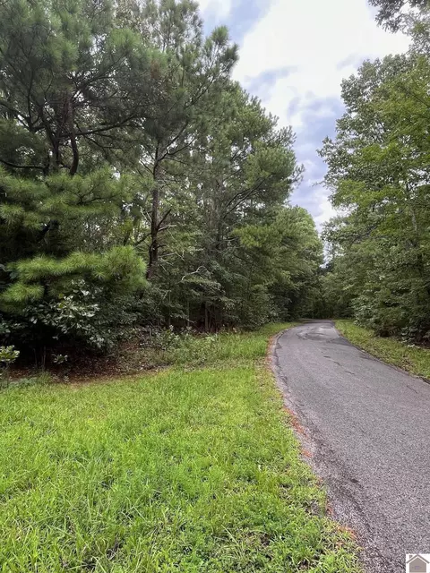 0 Ridge Rd, New Concord, KY 42076