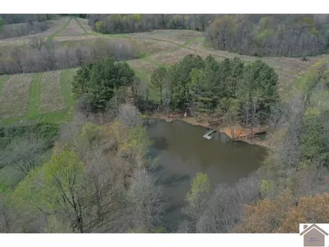 5851 Reuben Rd, Water Valley, KY 42049