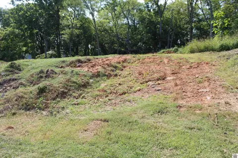 lot108 Main St, Eddyville, KY 42038