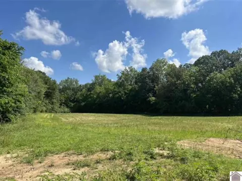 7875 B Old Hinkleville Rd, West Paducah, KY 42086