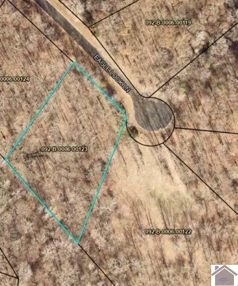 123 Eagle Look Ln, Murray, KY 42071 photo 2