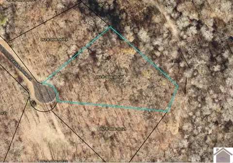 120 Eagle Look Ln, Murray, KY 42071 photo 7