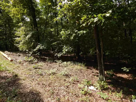 lot25 Imogene Dr, Gilbertsville, KY 42044