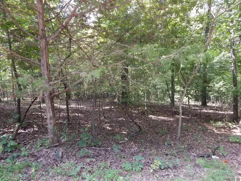 lot29 Imogene Dr, Gilbertsville, KY 42044