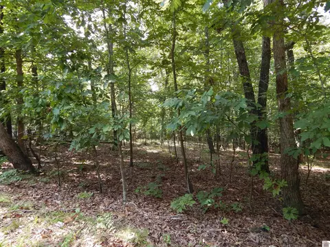 lot30 Imogene Dr, Gilbertsville, KY 42044