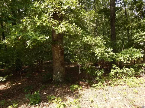 lot58 Imogene Dr, Gilbertsville, KY 42044
