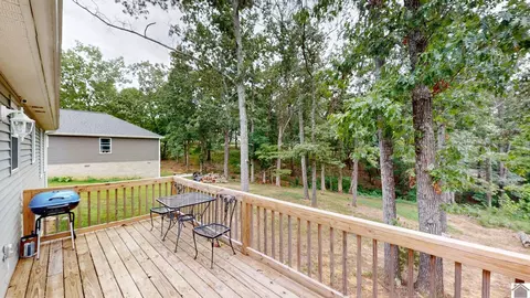 85 Redear Ln, Benton, KY 42025 photo 21
