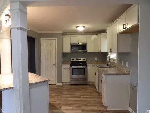 542 Lowes Rd, Cunningham, KY 42035 photo 12