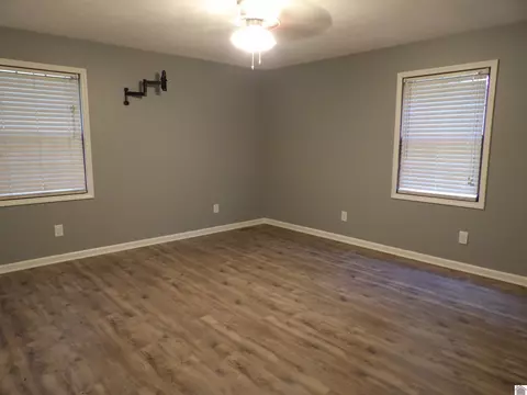 542 Lowes Rd, Cunningham, KY 42035 photo 16