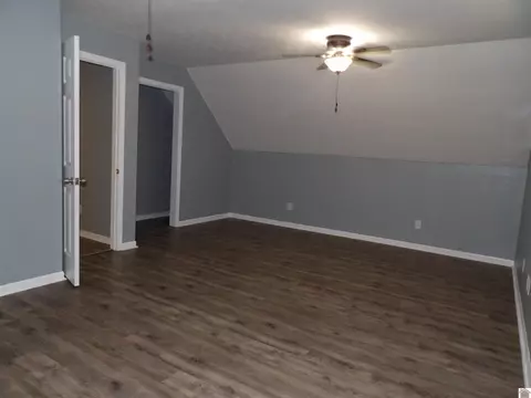 542 Lowes Rd, Cunningham, KY 42035 photo 26