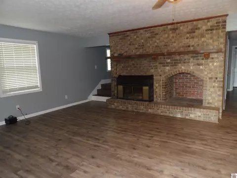 542 Lowes Rd, Cunningham, KY 42035 photo 14