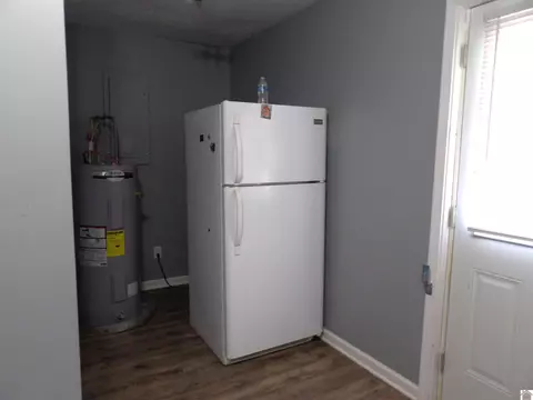 542 Lowes Rd, Cunningham, KY 42035 photo 18
