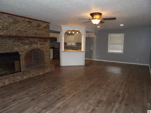 542 Lowes Rd, Cunningham, KY 42035 photo 11